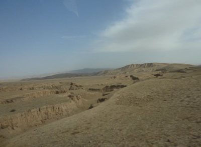 559536_401420226552385_1610010693_n