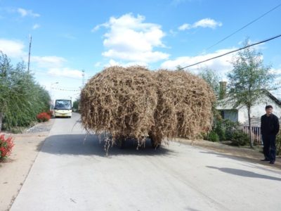 58088_159267874100956_8018251_n