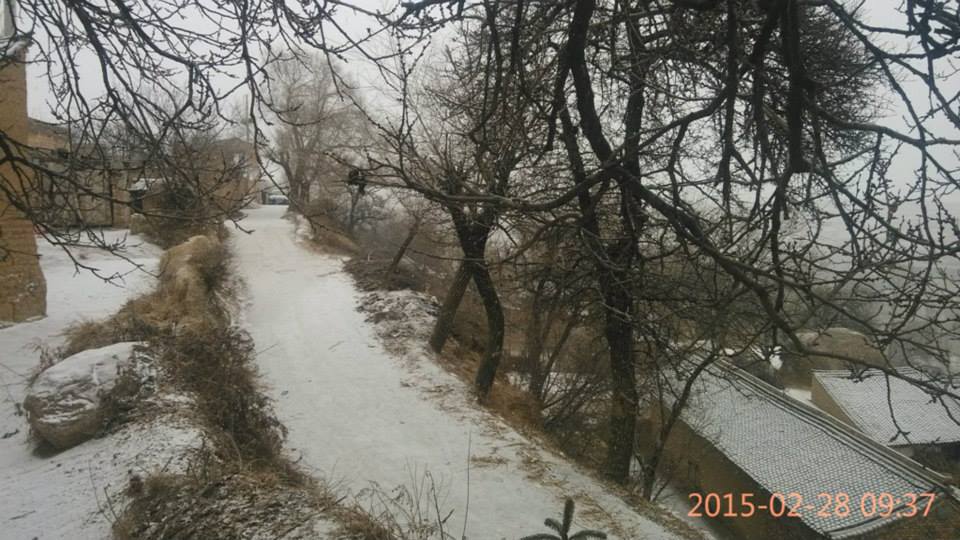 603730_776254165785332_331293024159301961_n