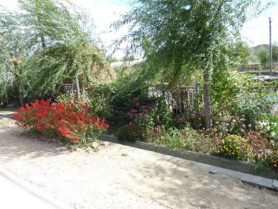 64049_159267864100957_6318024_n