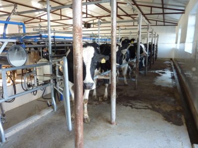 65188_159267947434282_4975105_n