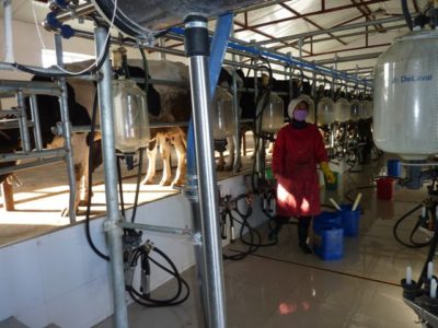 65442_159267967434280_3106333_n