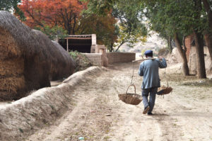 關於我們-中國農民的概況