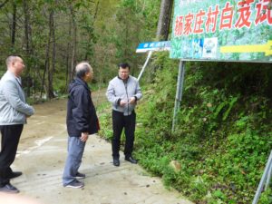 7 IMG_5636r Album cover