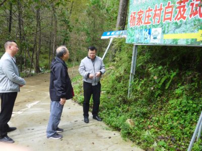 7 IMG_5636r Album cover