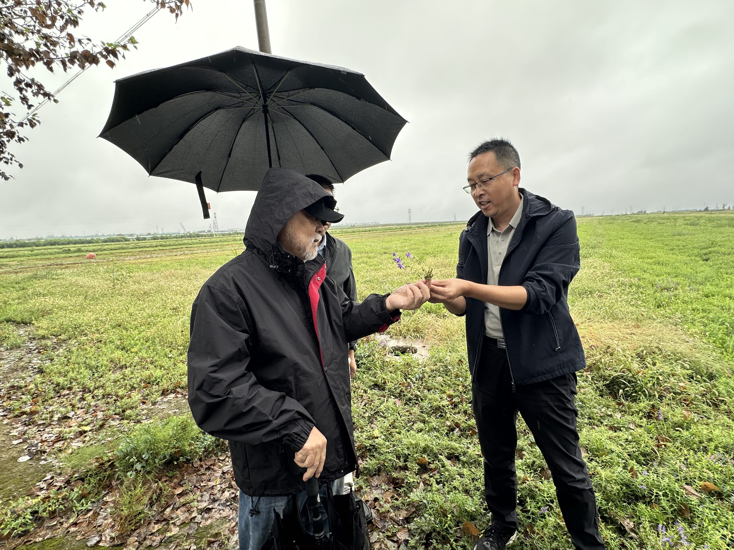 32 IMG_4951